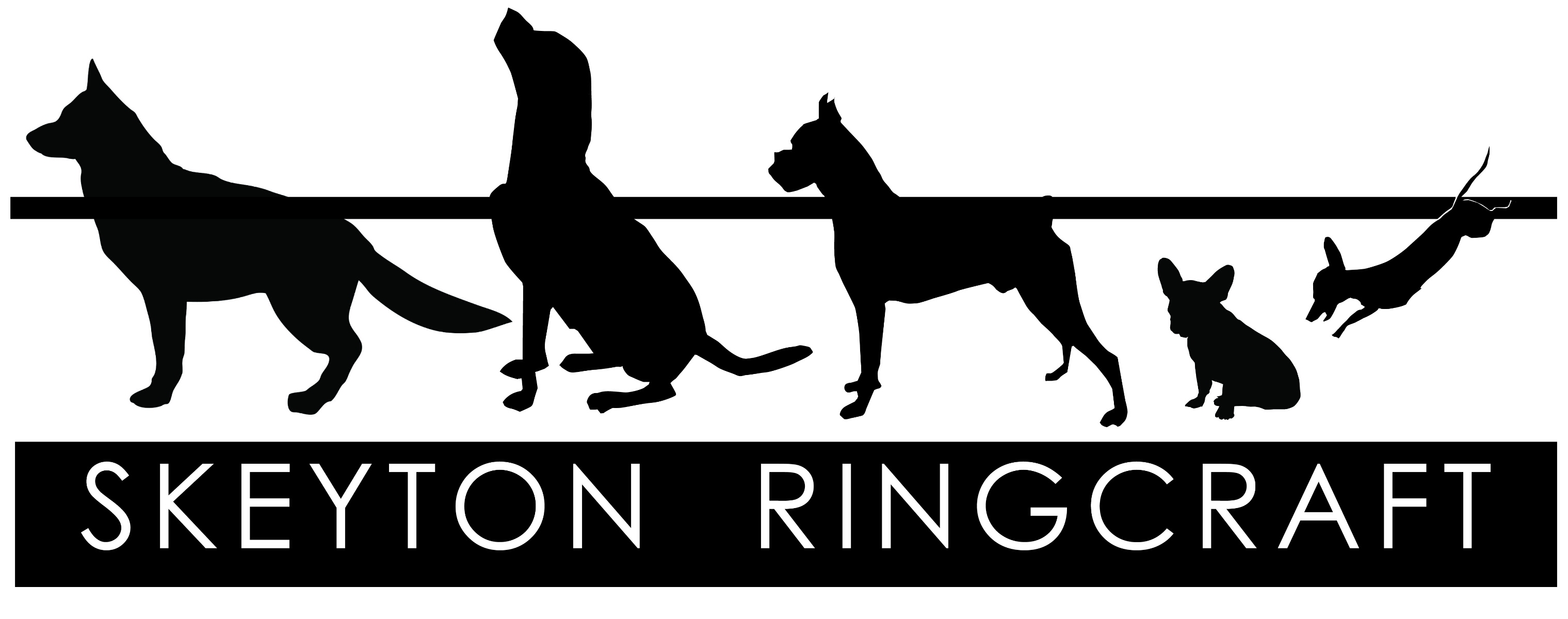 Skeyton Ringcraft